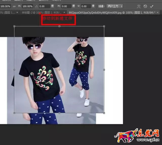 拼多多新手開店第一步