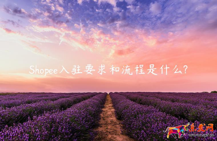 Shopee入駐要求和流程是什么?