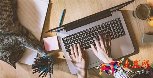 shopify物流貴嗎 shopify物流貴嗎